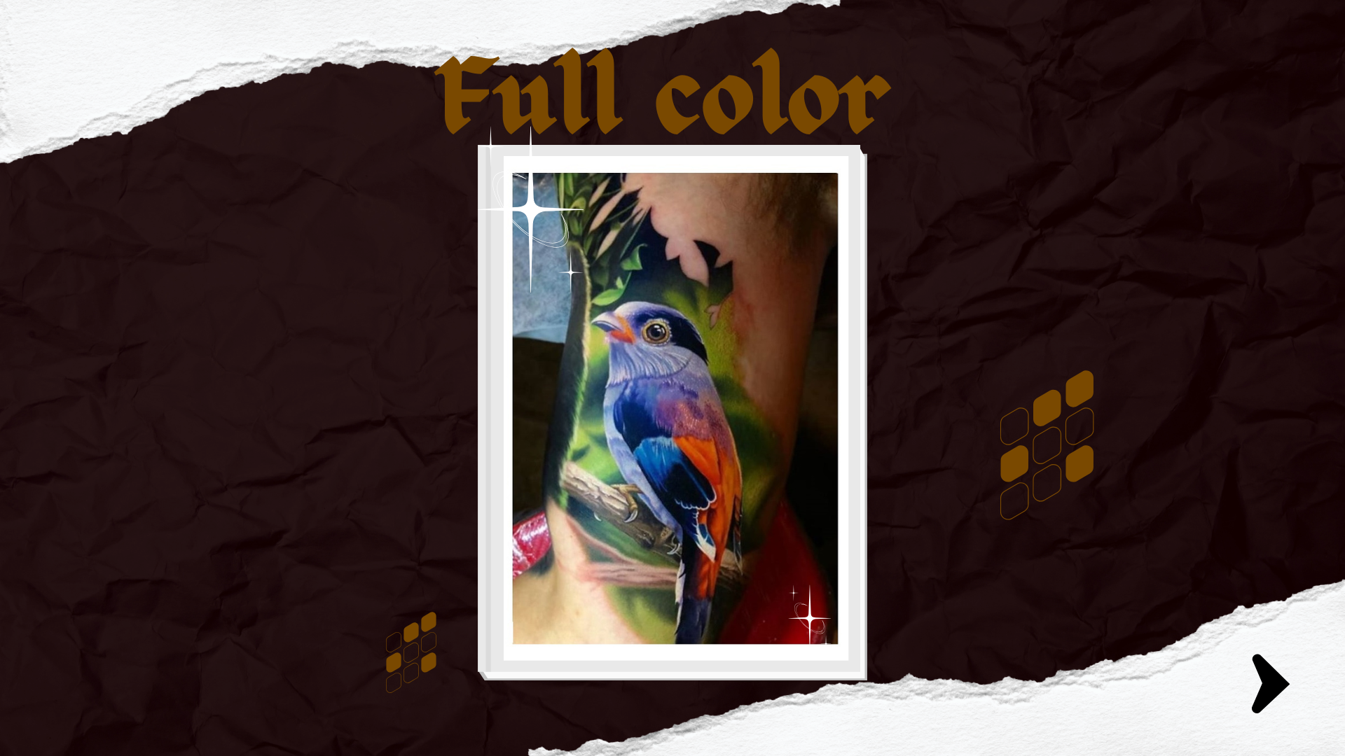 Fullcolor
